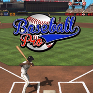 Baseball Pro