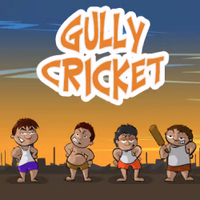 Gully Cricket