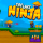 The Last Ninja