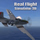 Real Flight Simulator 3D